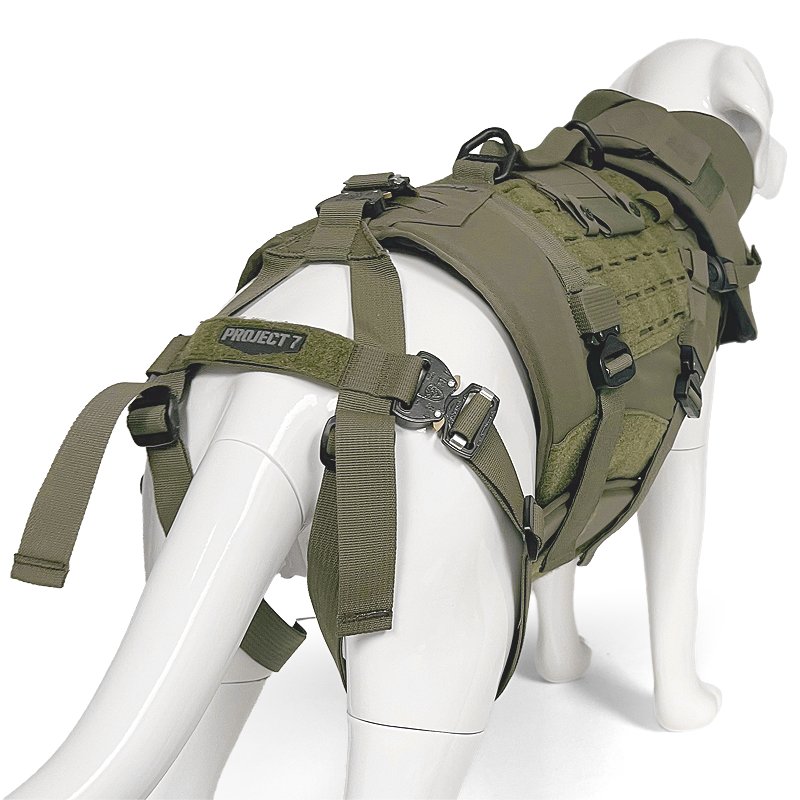 p7-k9-leg-loop-harness-3